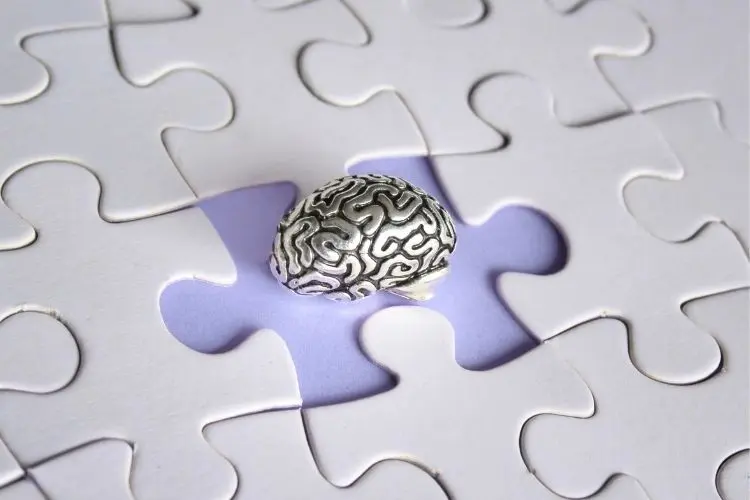 mental illness education schizophrenia society nb